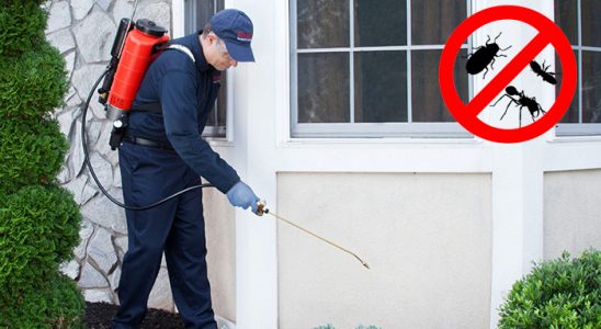 Çekerek Bit İlaçlama böcek ilaçlama ve haşere kontrolü — ilaclama-tr.com